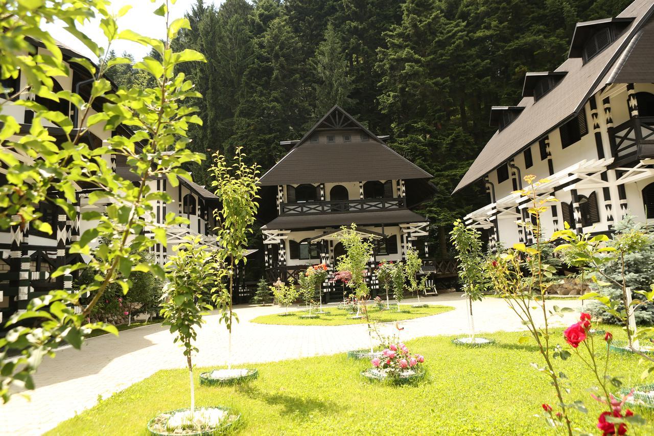 فندق Complex Lions Bucovina فورونيت المظهر الخارجي الصورة